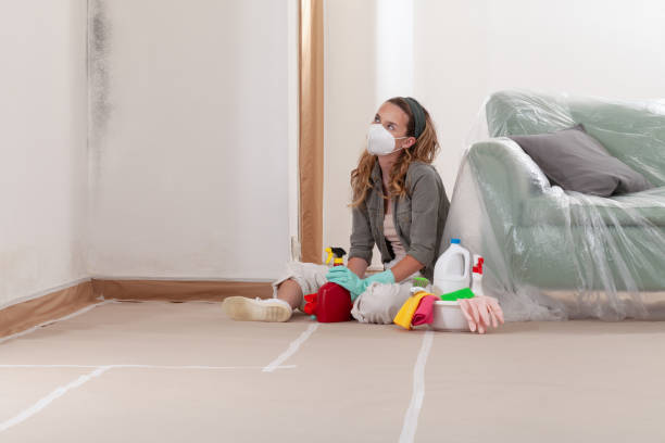Reliable Basement Mold Remediation contractor in Anoka, MN by Car Mold Remediation